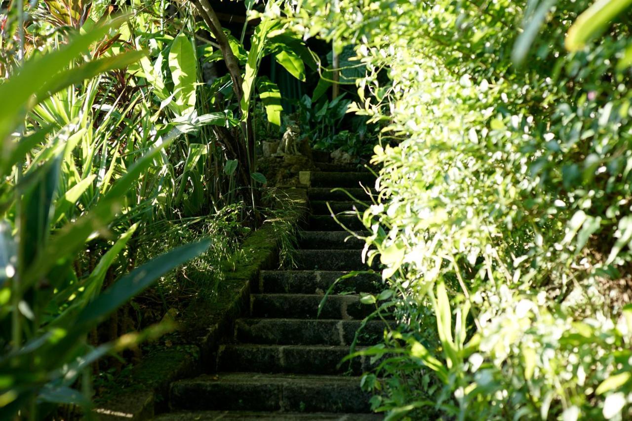 Villa Sachiibaru Нандзё Экстерьер фото